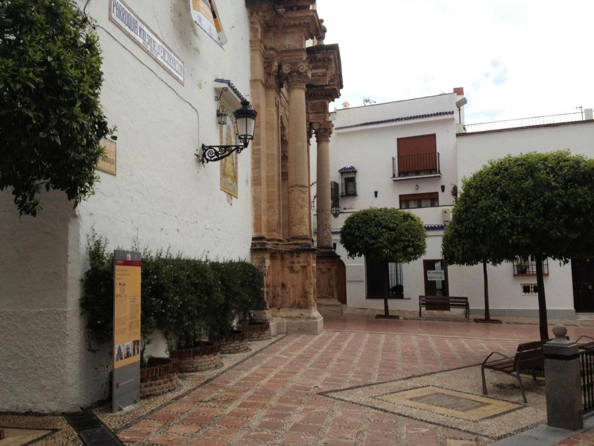 Alamo 6 Lejlighed Marbella Eksteriør billede